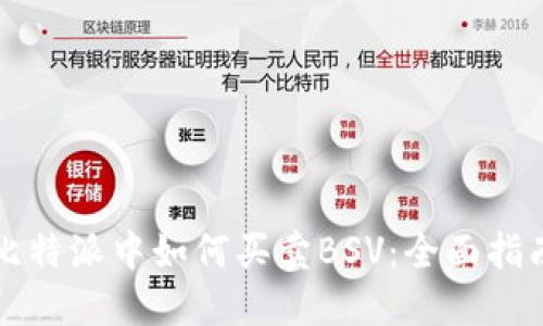 比特派中如何买卖BSV：全面指南