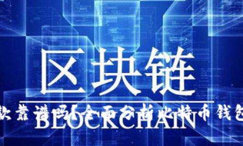 外部比特币钱包存款靠谱吗？全面分析比特币钱包的安全性与可靠性