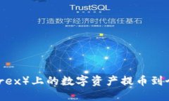 如何将比特尔（Bittrex）上