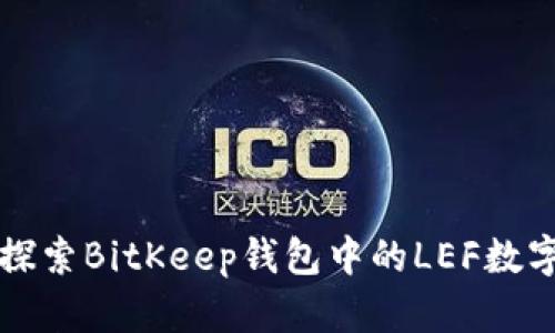 深入探索BitKeep钱包中的LEF数字资产