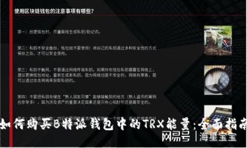 如何购买B特派钱包中的TRX能量：全面指南