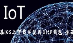 如何在iOS上下载并使用B