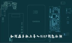 如何在手机上导入BitP钱包