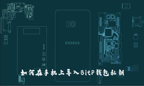 如何在手机上导入BitP钱包私钥