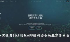 如何使用BitP钱包APP进行安