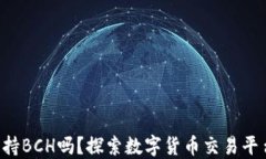 B特派支持BCH吗？探索数字