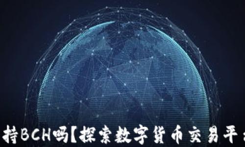 
B特派支持BCH吗？探索数字货币交易平台的优势