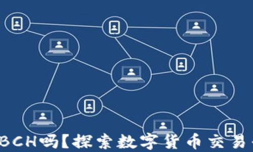 
B特派支持BCH吗？探索数字货币交易平台的优势