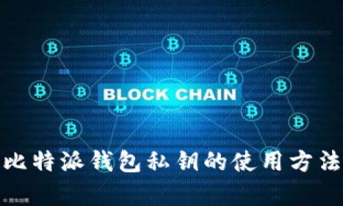 全面解析比特派钱包私钥的使用方法与安全性