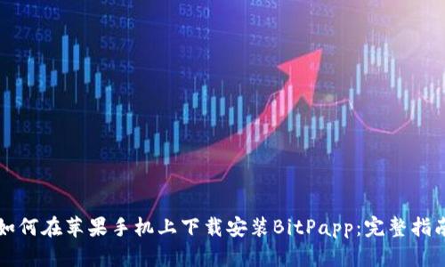 如何在苹果手机上下载安装BitPapp：完整指南