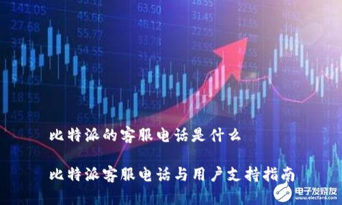 比特派的客服电话是什么

比特派客服电话与用户支持指南