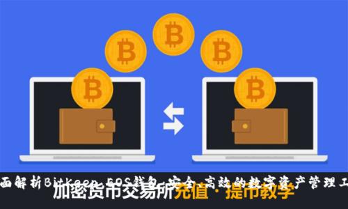 全面解析BitKeep EOS钱包：安全、高效的数字资产管理工具