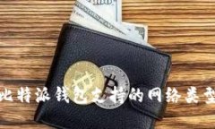 全面解读比特派钱包支持
