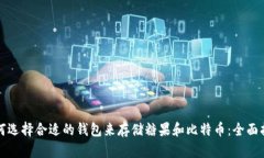 如何选择合适的钱包来存储糖果和比特币：全面