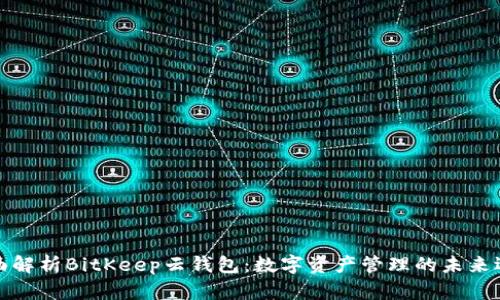 全面解析BitKeep云钱包：数字资产管理的未来选择