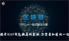 揭开BitP钱包骗局的真相：