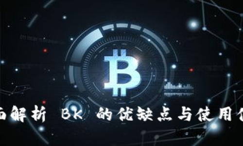 全面解析 BK 的优缺点与使用体验